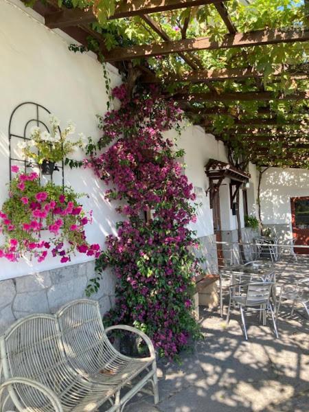 Atxispe Etxea Casa Rural Laukiz Екстериор снимка