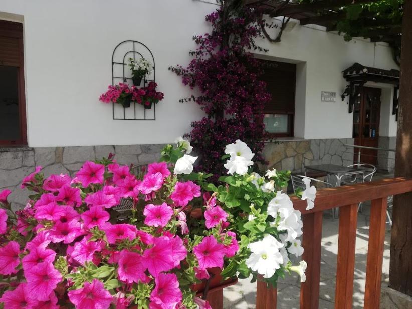 Atxispe Etxea Casa Rural Laukiz Екстериор снимка